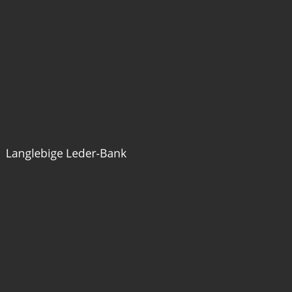 Langlebige Leder-Bank